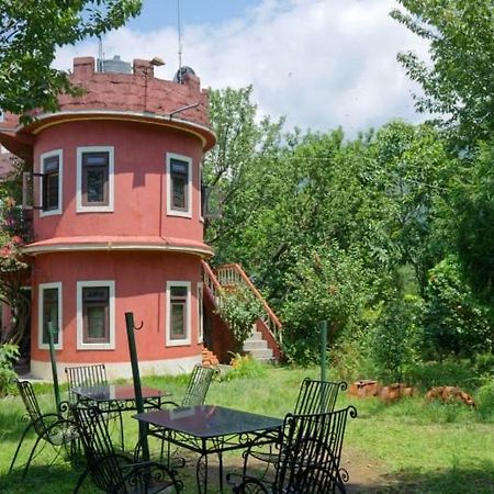 Castle Hotel Покхара Экстерьер фото